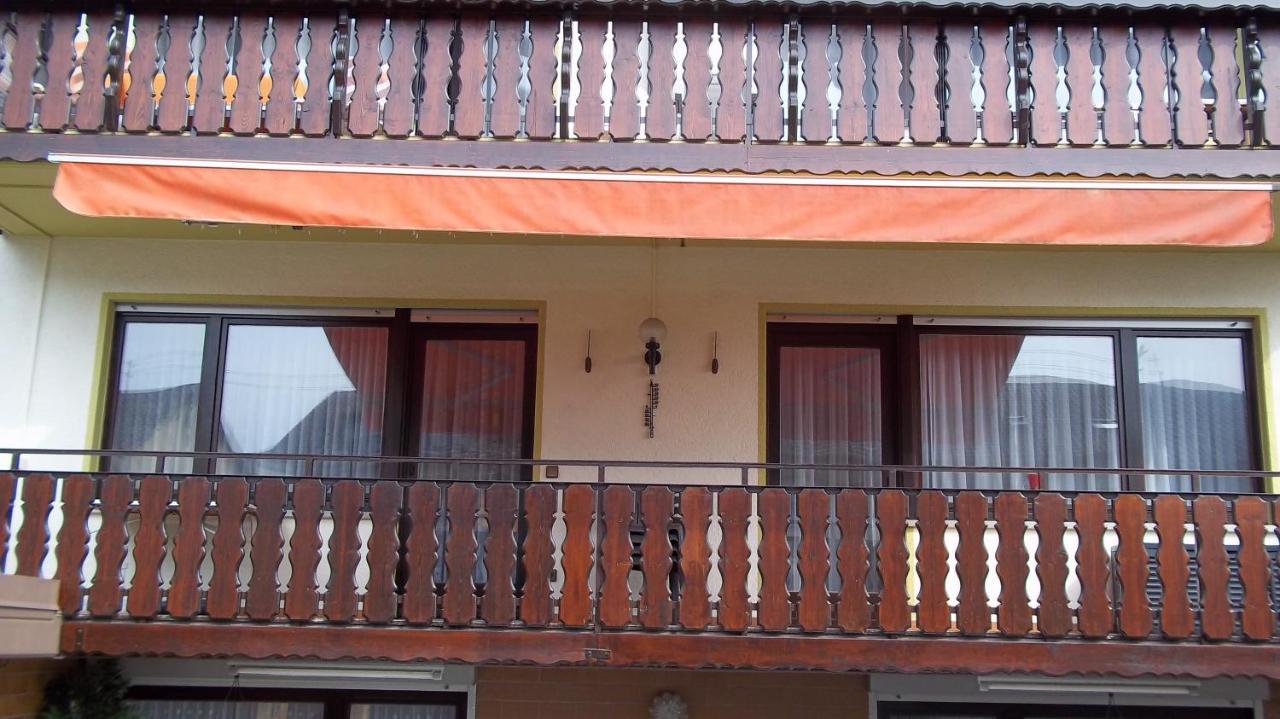Ferienwohnung Keine Monteurvermietung Naehe Heidelberg Hockenheim Bds Anlage Philippsburg Ngoại thất bức ảnh